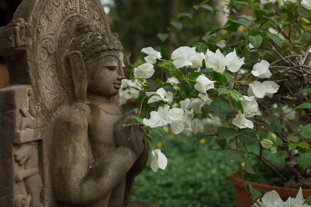 Soma Manaltheeram Ayurveda Beachvillage Kovalam Kültér fotó